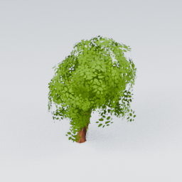 QU_Willow_4