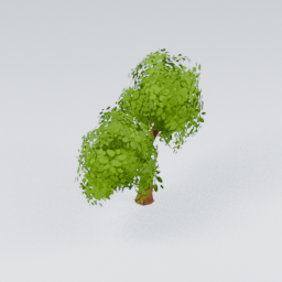 QU_Willow_5