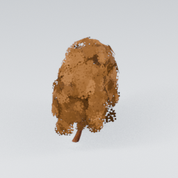 QU_Willow_Autumn_1