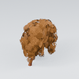 QU_Willow_Autumn_2