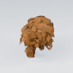 QU_Willow_Autumn_4