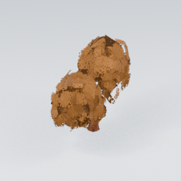 QU_Willow_Autumn_5