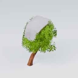 QU_Willow_Snow_3