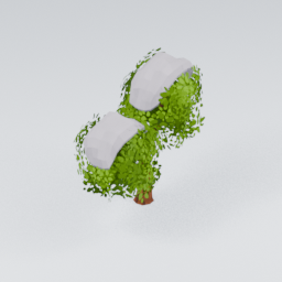 QU_Willow_Snow_5