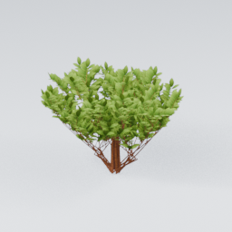 ShrubRound01