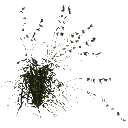 3DGardenPlants_Themeda_triandra_01_4