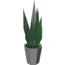 LI30_Indoor_Snake_Plant