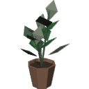 OF04_Compact_Indoor_Plant