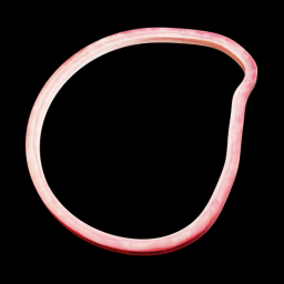 Onion 1