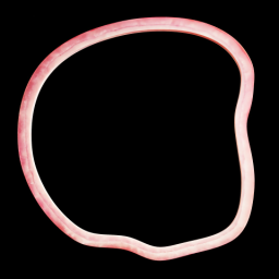 Onion 2
