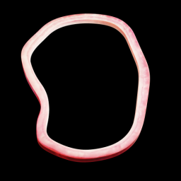 Onion 4