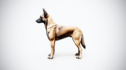 Belgian Malinois Rigged
