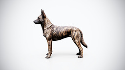 Dutch Shepherd Rigged