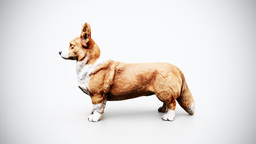 Pembroke Welsh Corgi Rigged