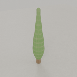 Cypress