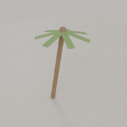 Palm