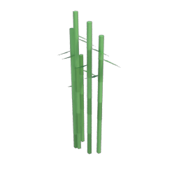 Bamboo
