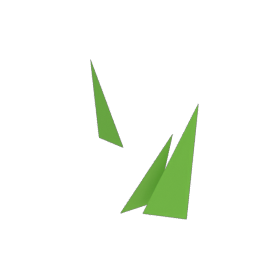 Grass