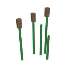 Reeds