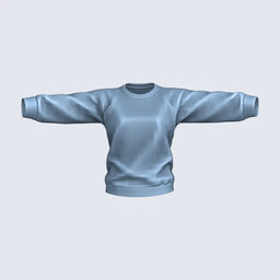 Female | Plain Sweatshirt