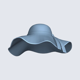 Female | Wide Brim Hat