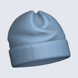 Male | Beanie With Cuff