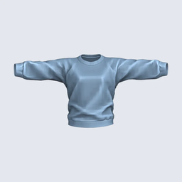 Male | Plain Sweatshirt