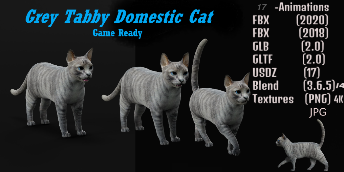 tabby cat game