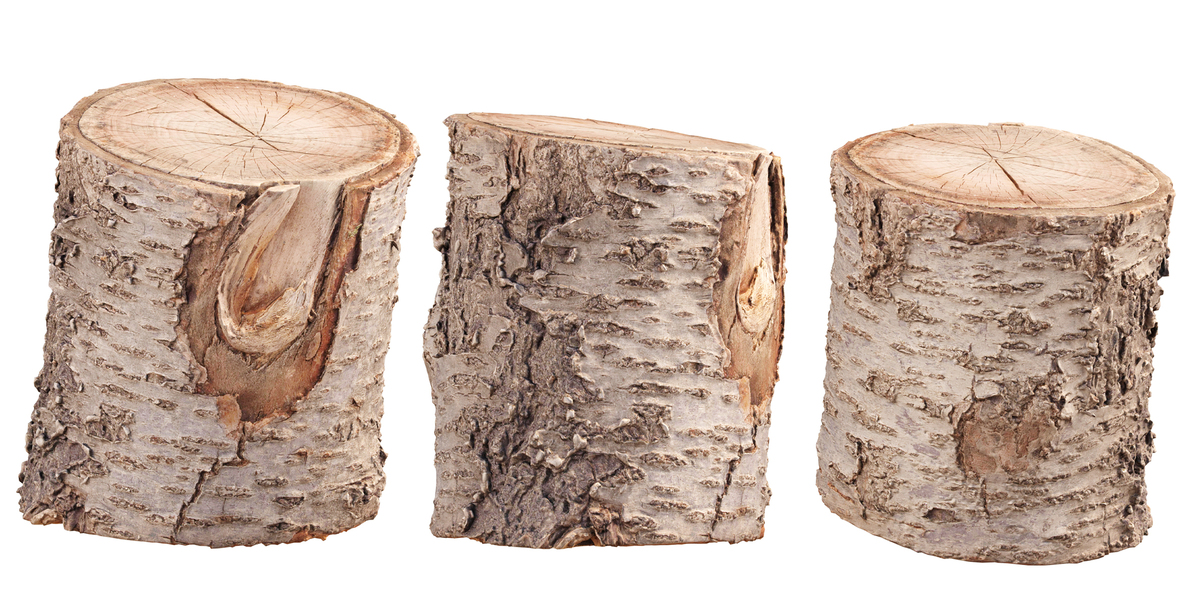 Tree Log Model 3D Scanned Tree Log Realistic Model With LOD Vol 01-Blender - Superhive ...