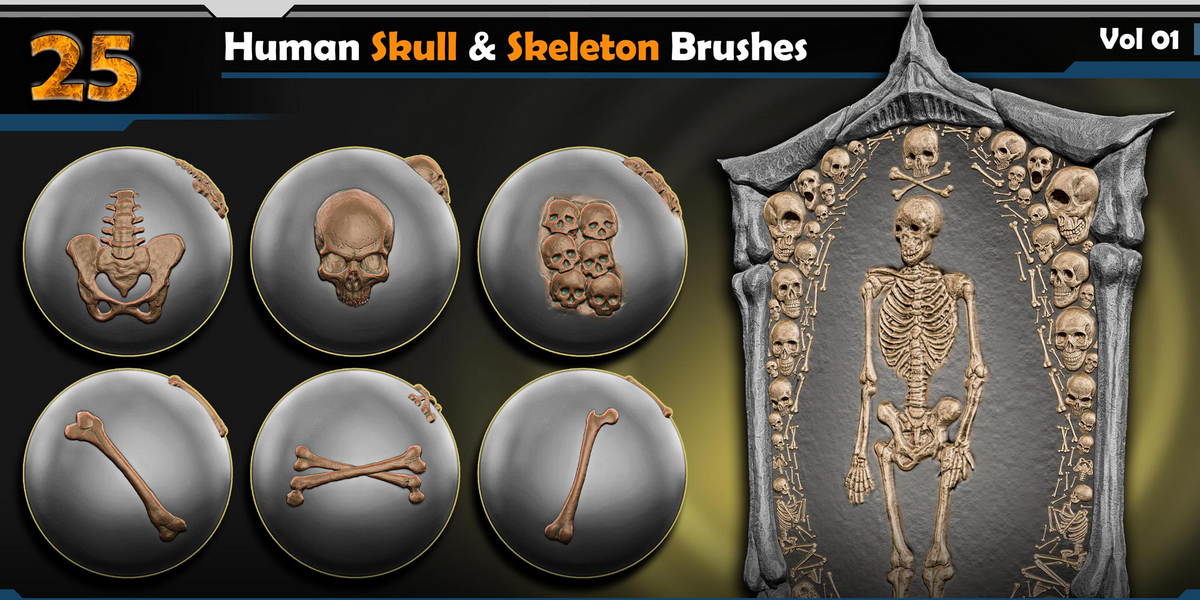 Human Skull & Skeleton Brushes | Vol.01 - Superhive (formerly