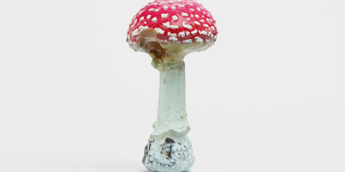 Fly Agaric Mushroom - Superhive (formerly Blender Market)