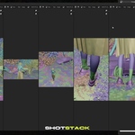 ShotStack: The Ultimate One-Stop Shot & Render Manager - Superhive ...