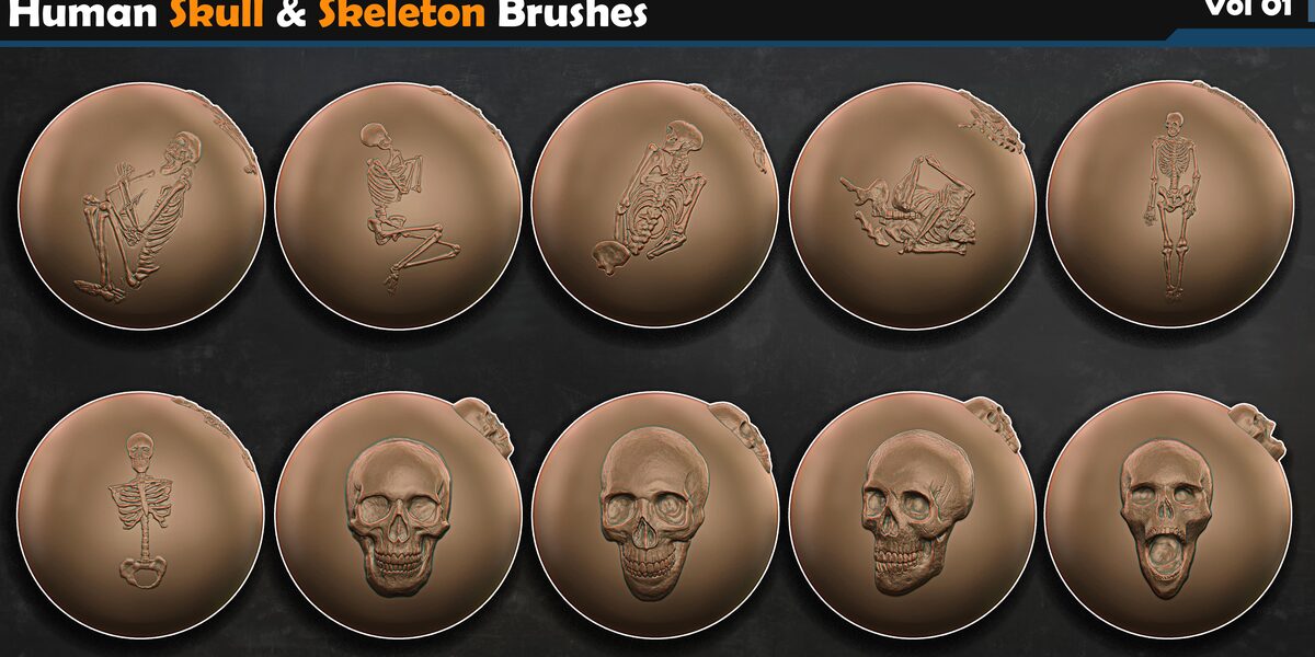 Human Skull & Skeleton Brushes | Vol.01 - Superhive (formerly