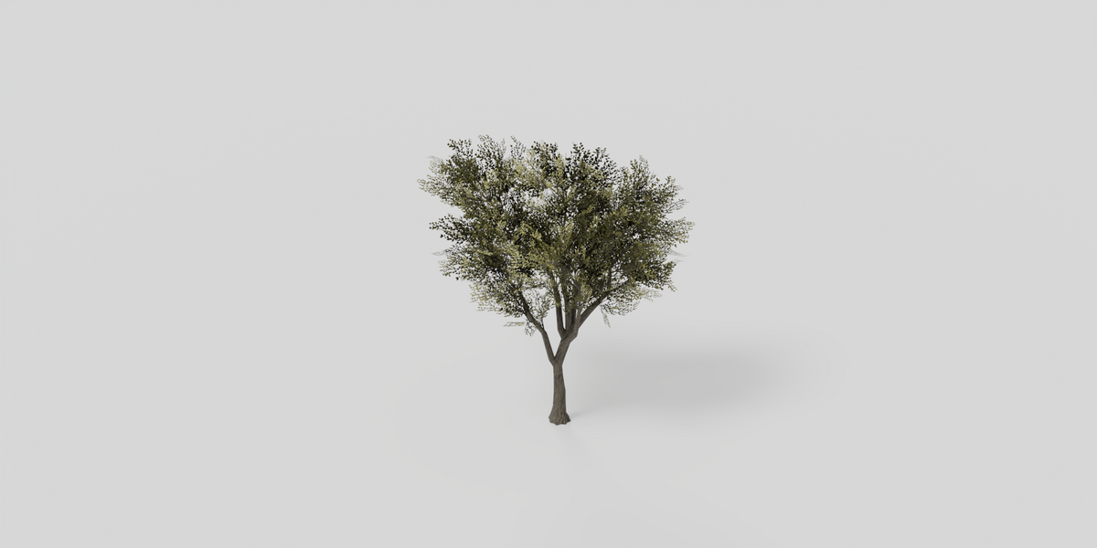 Leafy Tree