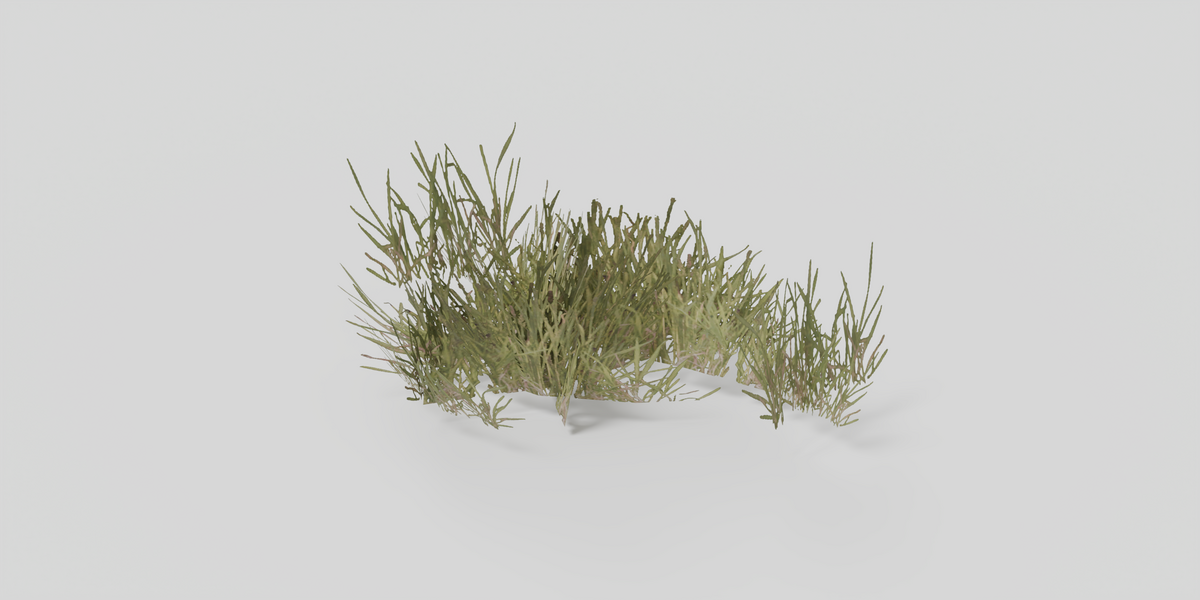 Green Grass Clump