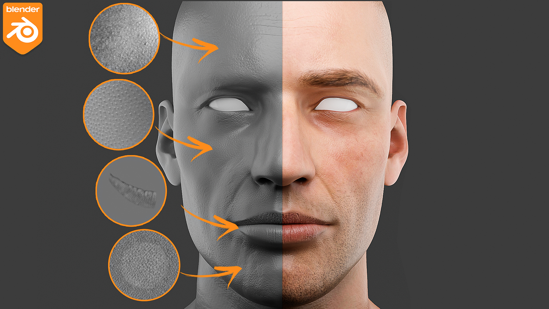 blender-human-skin-brushes-blender-market