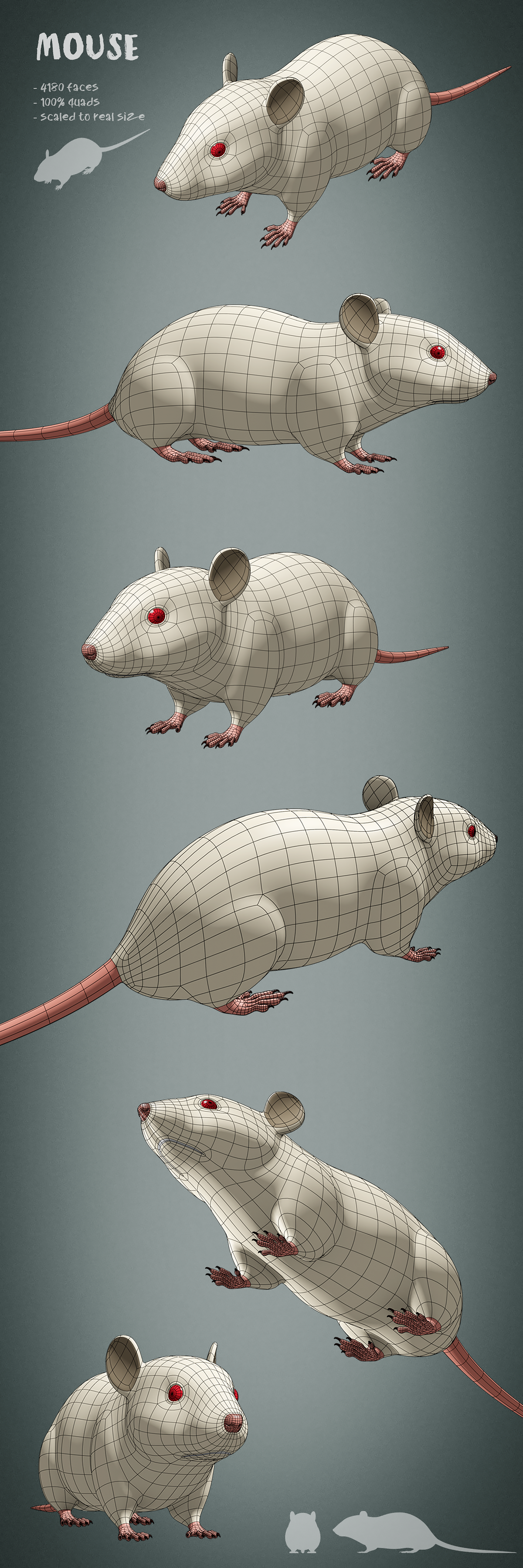 100 animals base meshes - Superhive (formerly Blender Market)