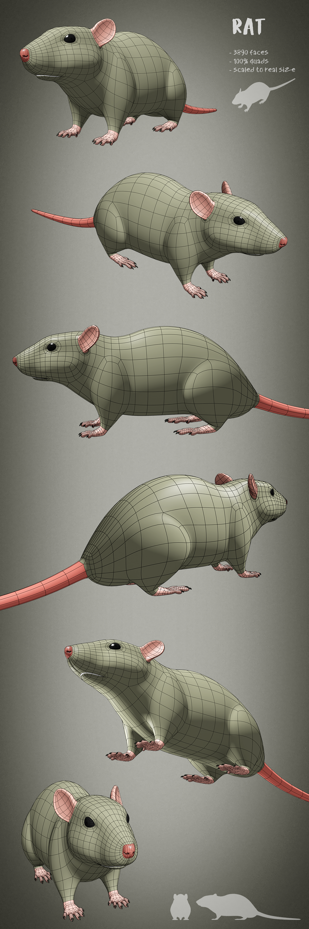 100 animals base meshes - Superhive (formerly Blender Market)
