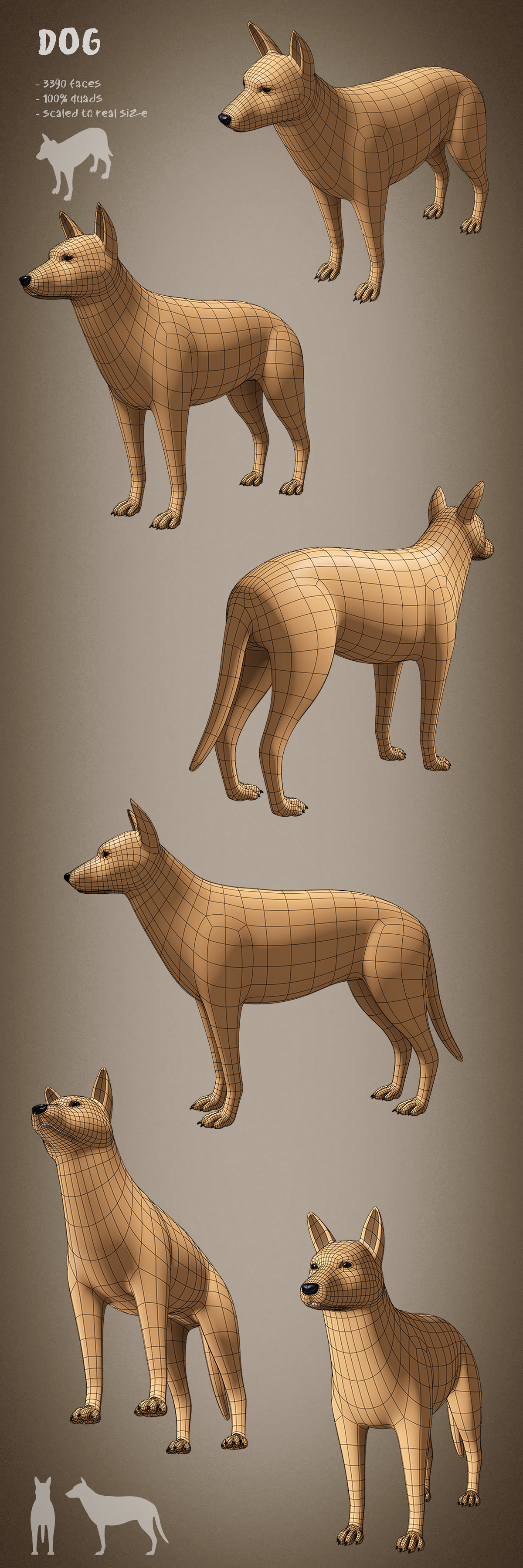 100 animals base meshes - Superhive (formerly Blender Market)