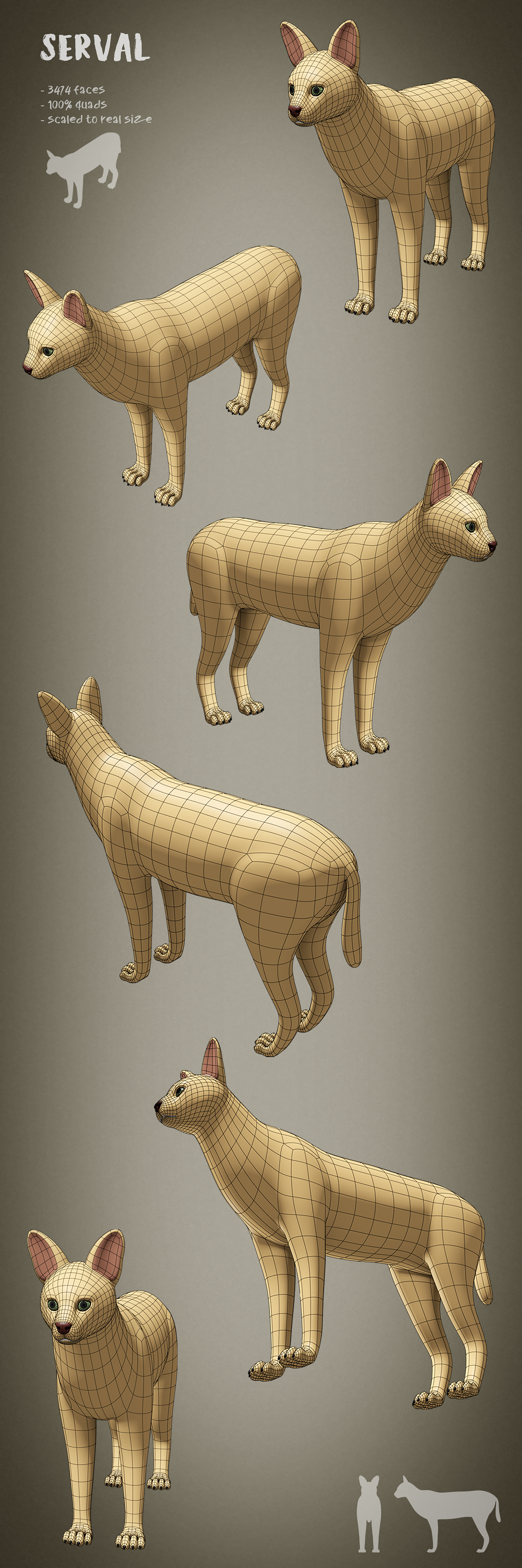100 animals base meshes - Superhive (formerly Blender Market)