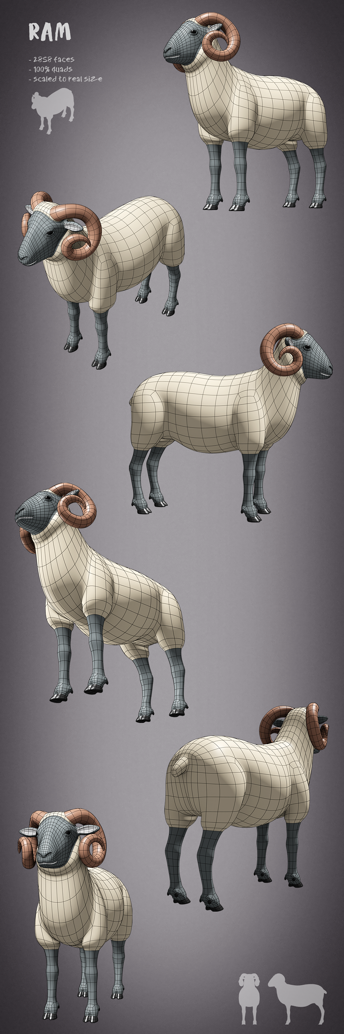 100 animals base meshes - Superhive (formerly Blender Market)
