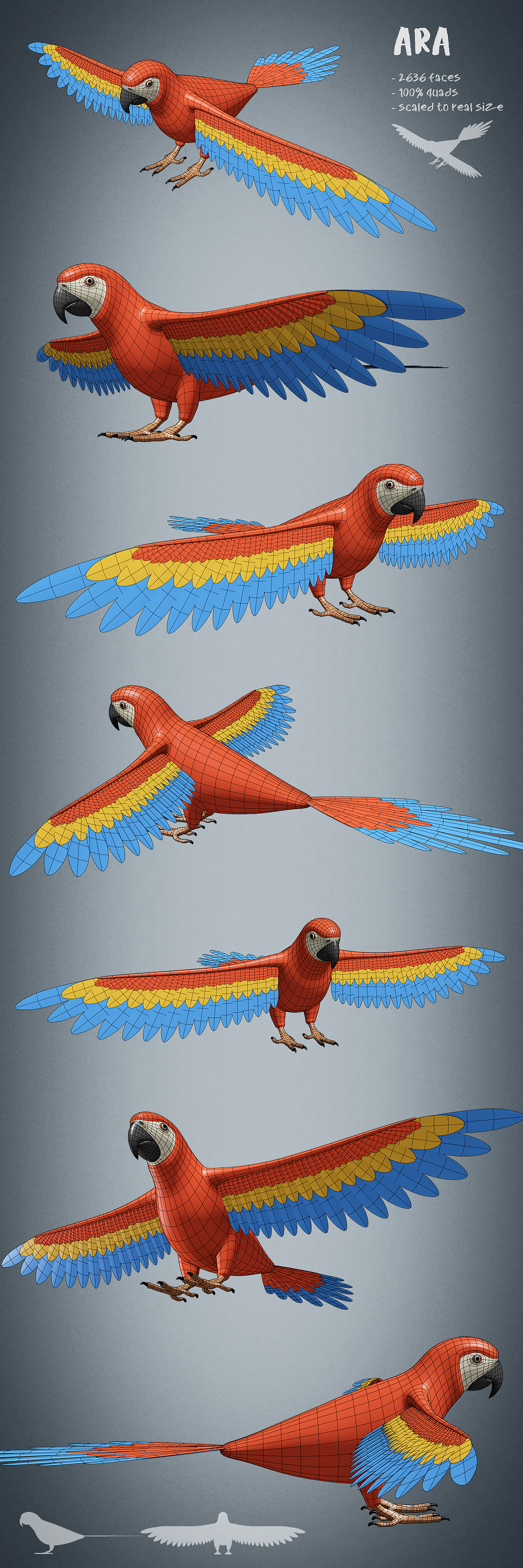 100 animals base meshes - Superhive (formerly Blender Market)