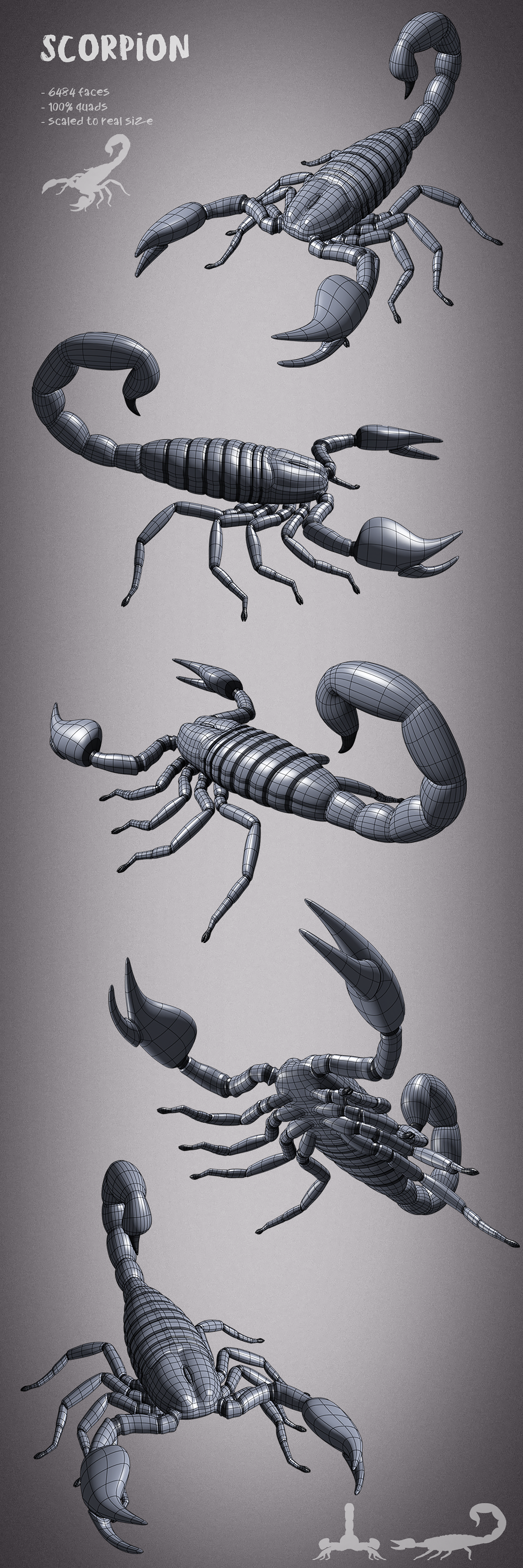 100 animals base meshes - Superhive (formerly Blender Market)