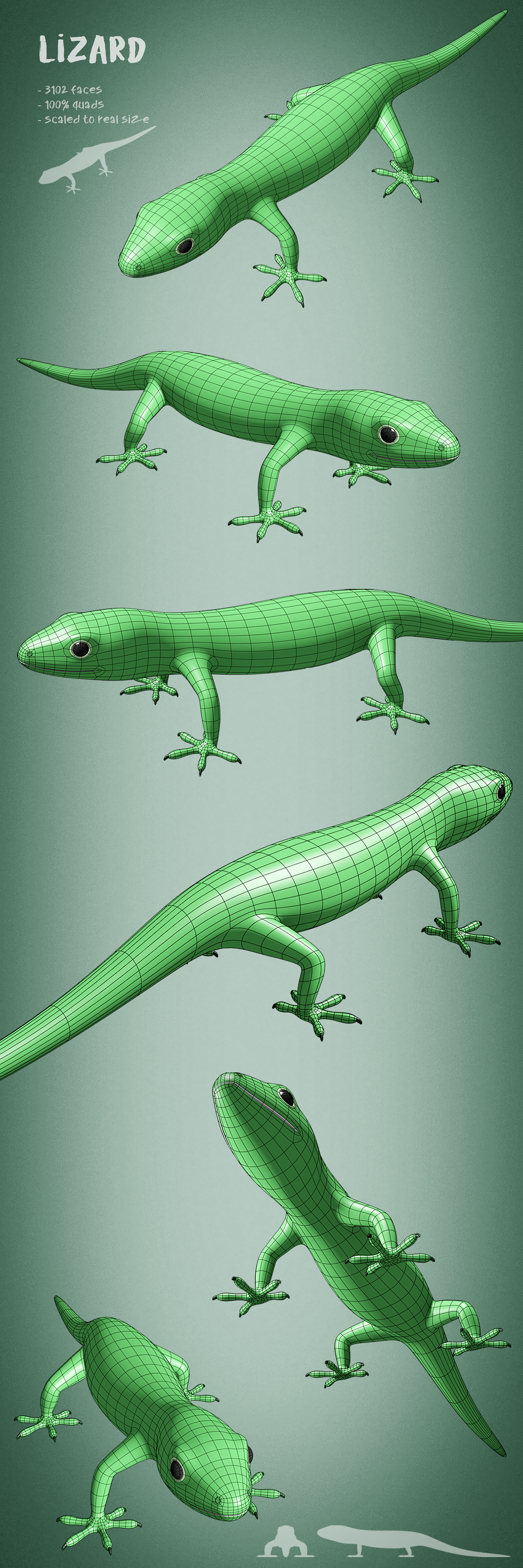 100 animals base meshes - Superhive (formerly Blender Market)