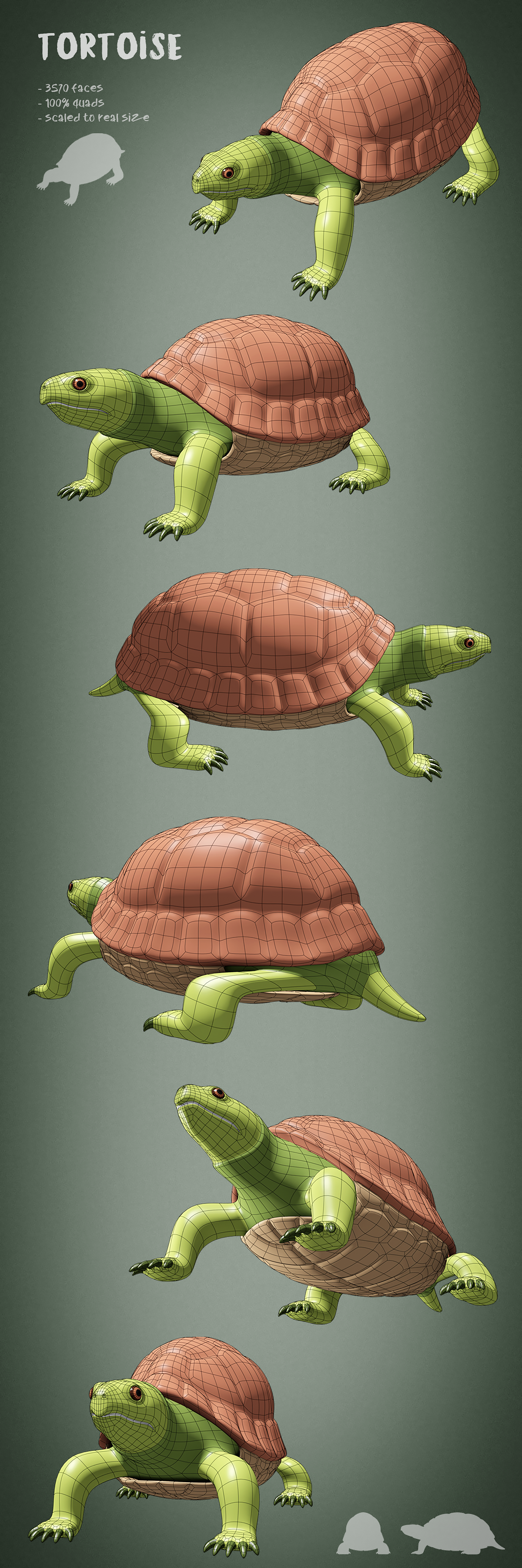 100 animals base meshes - Superhive (formerly Blender Market)